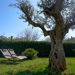 Palm View Rovinj