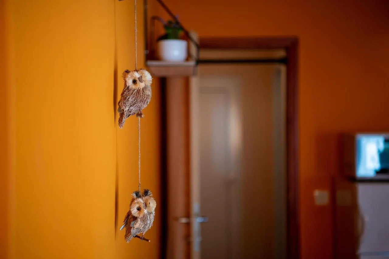 Apartment Orange 29 Rovinj Croatia